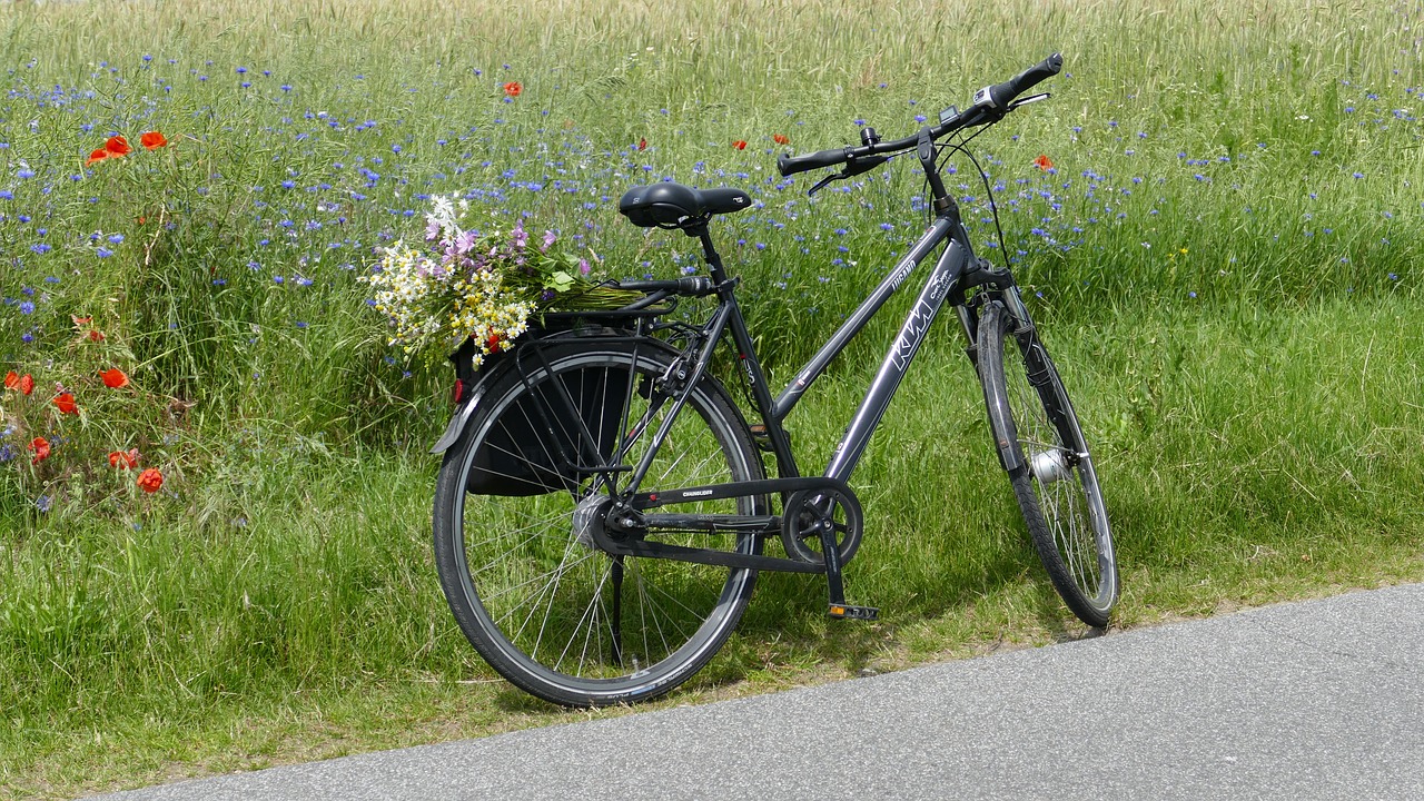 Fahrradwege in Neumarkt